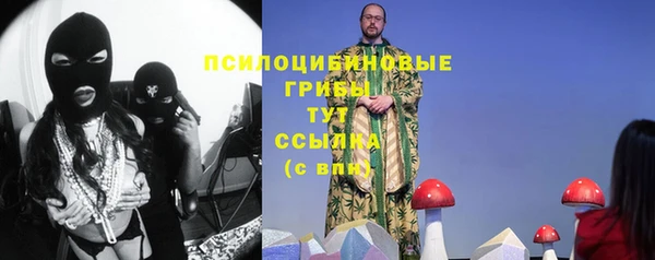 молекула духа Алзамай