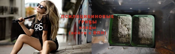 молекула духа Алзамай