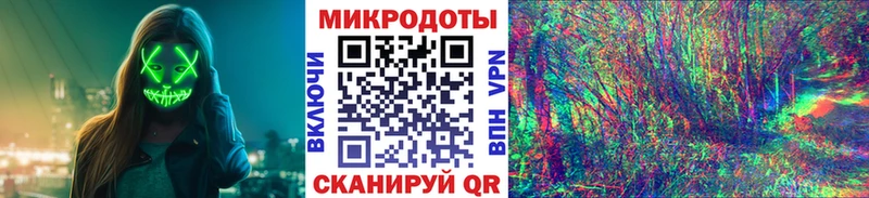 дарнет шоп Павловская Галлюциногенные грибы прущие грибы