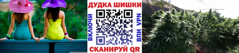 Бошки марихуана THC 21%  Павловская 